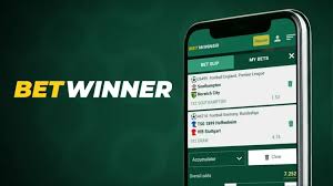 Discover the BetWinner Online Betting Platform for Sports Enthusiasts