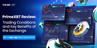 Trading on PrimeXBT Turkey A Comprehensive Guide -666627030 Trading on PrimeXBT Turkey A Comprehensive Guide -666627030